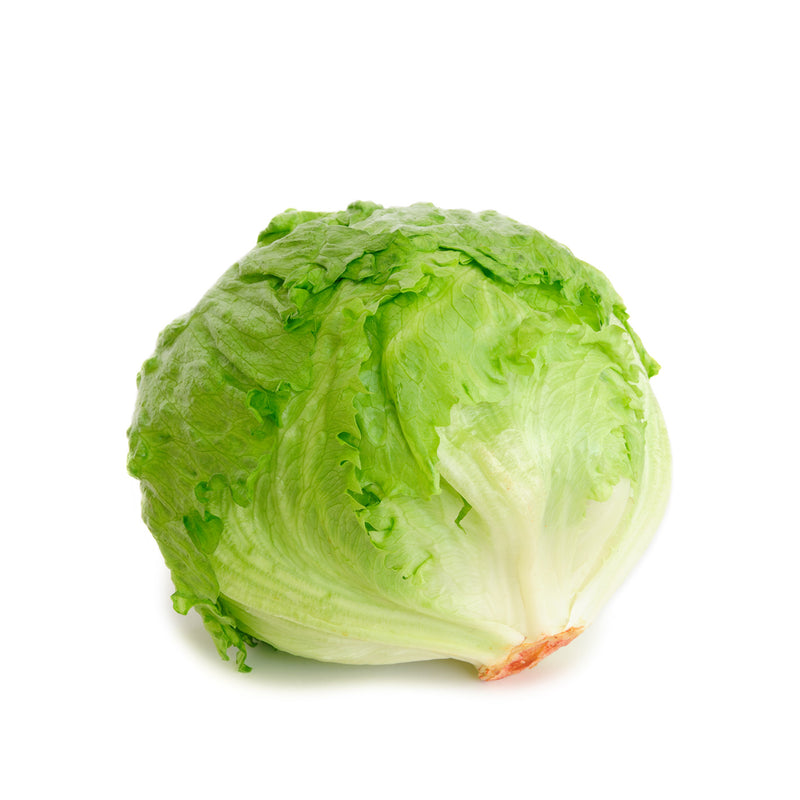 VEGETABLES - LETTUCE ICEBERG  CASE 24 EA