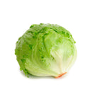 VEGETABLES - LETTUCE ICEBERG  CASE 24 EA