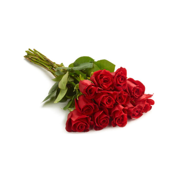 FRESH CUT - PREMIUM 40CM RED ROSES 12 STEMS