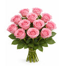 FRESH CUT - PREMIUM 40CM LIGHT PINK ROSES 12 STEMS
