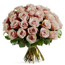 FRESH CUT - AMNSIA ROSES BUNDLE  40CM 25UN