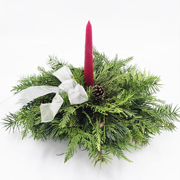 EVERGREEN GLOW AND BLOSSOM ARRANGEMENT