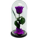 EVA GLASS DOME SINGLE STEM ROSE ASSORTED 1UN