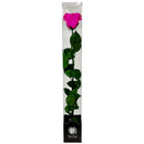 SINGLE STEM ASSORTED PRESERVED ROSE IN FLOWER DISPLAY 50CM