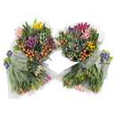 TULIPS CUT ASSORTED 10 ST