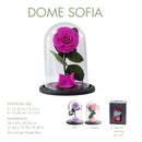 PRESERVED ROSE DOME BIG 1UN
