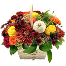 FLORAL - FALL SPLENDOR EA