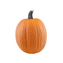 VEGETABLES - PUMPKIN ORANGE SMALL 1EA