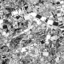 APEX - METALIC SILVER CRINKLE CUT PAPER 10LB