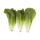 VEGETABLES -  LETTUCE ROMAINE HEARTS CASE OCEAN 12x3