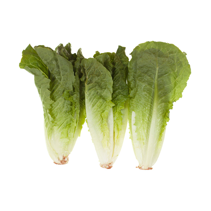 VEGETABLES - LETTUCE ROMAINE HEARTS CASE 12x3