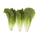 VEGETABLES - LETTUCE ROMAINE HEARTS CASE 12x3