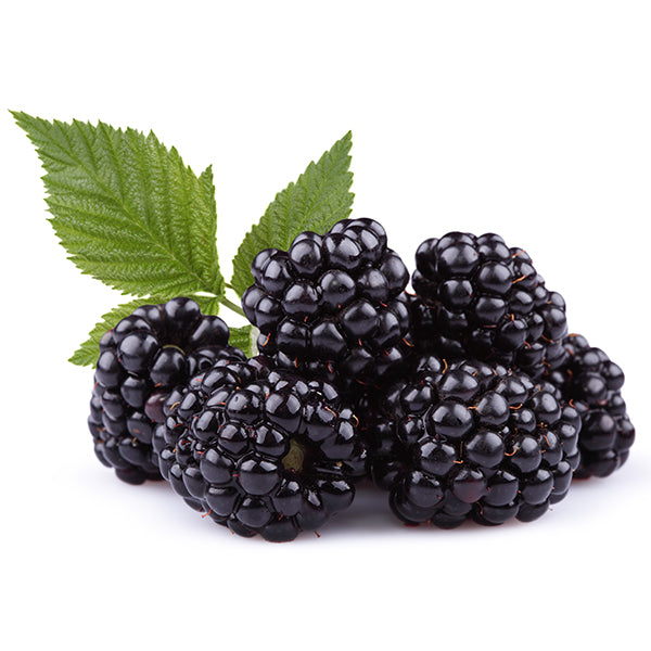 FRUITS - BLACKBERRIES CASE 12 X 170 G