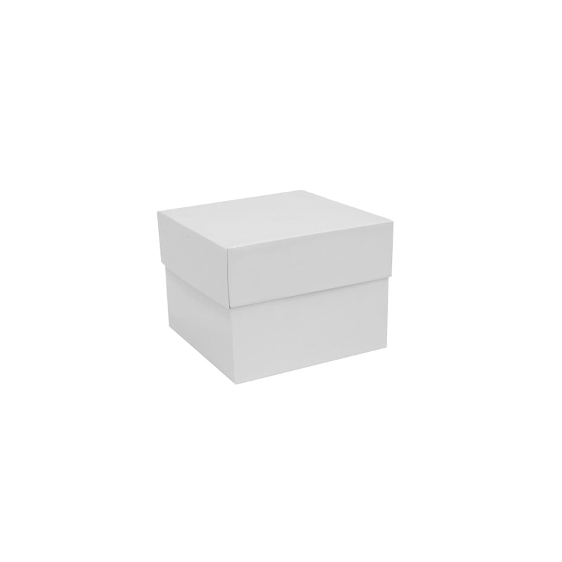 LUV2PAK - HABITAT DISPLAY BOX WHITE 8X8X6