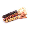 VEGETABLES - INDIAN CORN (Mini) BUNCH 1 EA