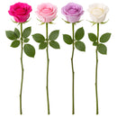 50CM MOTHER'S DAY MIX ROSES 1 STEMS