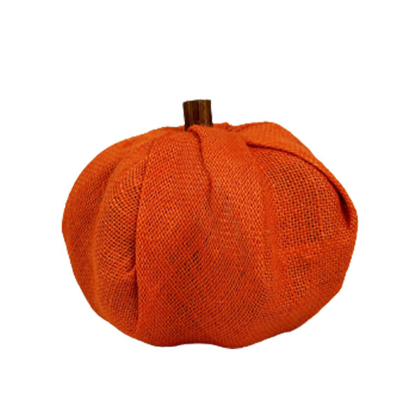 DRY - COCO PUMPKIN ORANGE LARGE 1EA