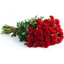 FARM TO CANADA - CARNATIONS BUNCH 25 STEMS