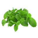 VEGETABLES - MINT HERB 12CT 12 EA