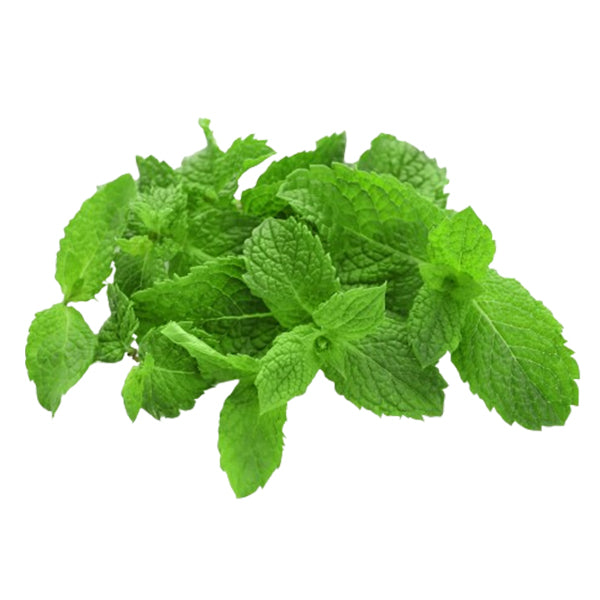 VEGETABLES - MINT HERB 12 EA