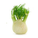 VEGETABLES - ANISE REPACK 1EA
