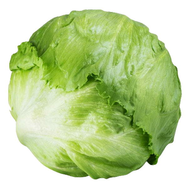 VEGETABLES - LETTUCE ICEBERG  JUMBO CASE 30 EA