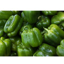 VEGETABLES - PEPPERS GREEN CASE 1 1/9 BUSHEL