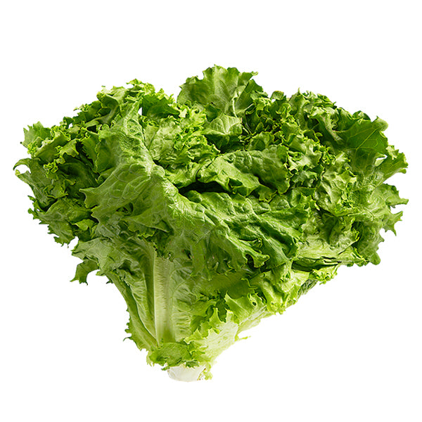 VEGETABLES - LETTUCE GREEN LEAF  CASE 24 EA