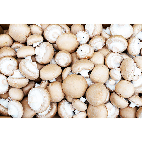VEGETABLES - MUSHROOMS