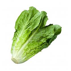 VEGETABLES - LETTUCE ROMAINE 3 EA