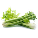 VEGETABLES - CELERY CASE  24 EA