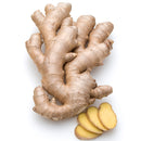 VEGETABLES - GINGER FRESH CASE