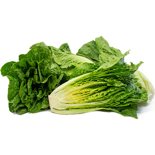 VEGETABLES - LETTUCE ROMAINE CASE 24 EA