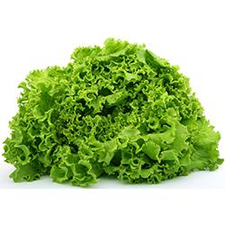 VEGETABLES - LETTUCE GREEN LEAF REPACK 3 EA