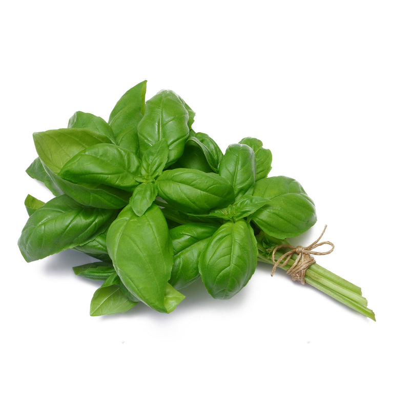 VEGETABLES - BASIL GREEN CRATE 12 EA