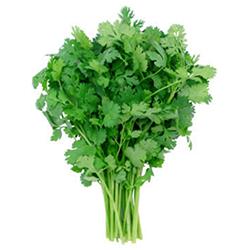 VEGETABLES - CILANTRO REPACK 3 EA