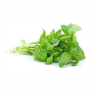 VEGETABLES - BASIL GREEN REPACK 3  EA