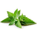P - MINT 3CT REPACK 3 EA