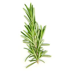 VEGETABLES - ROSEMARY REPACK 3 EA