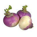 VEGETABLES - TURNIPS WAX CASE