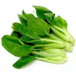 VEGETABLES - BOK CHOY REPACK 2 LBS