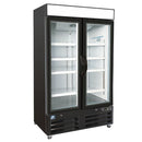 COLDZONE - 2 DOOR FREEZER GLASS 40"