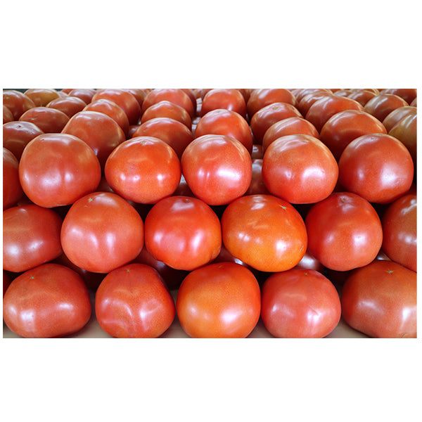 VEGETABLES - TOMATOES LOOSE  CASE 15 LB