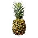FRUITS - PINEAPPLE GOLD CASE 5CT 5 EA
