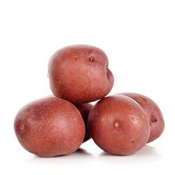 VEGETABLES - POTATOES  RED MINI REPACK 5 LBS