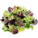 VEGETABLES - SPRING MIX  CASE 3 LBS