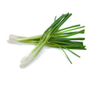 VEGETABLES - ONIONS GREEN  REPACK 6ct 6 EA