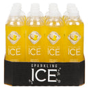 SUN RYPE - SPARKLING ICE COCONUT PINEAPPLE PET 12x503 ML