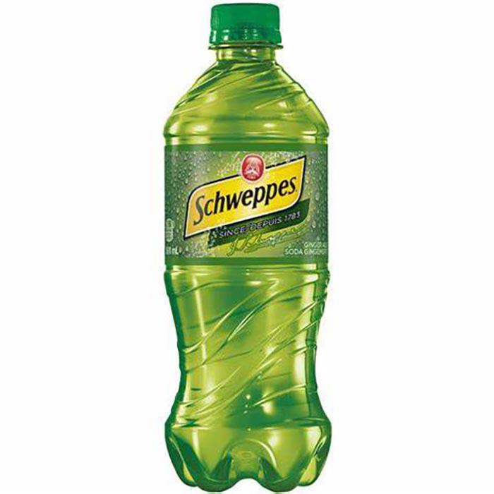 SCHWEPPES - GINGERALE 591ML