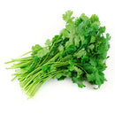 VEGETABLES - CILANTRO CASE 24CT 24 EA